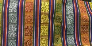 Bhutan Febric