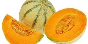 Fresh Muskmelon