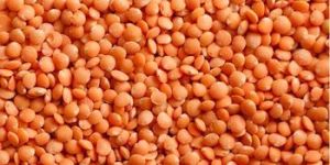 Red Lentils