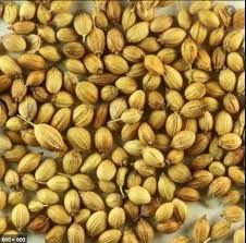 Coriander Seeds