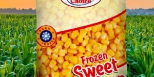 Frozen Sweet Corn Kernels