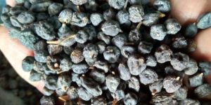 Dry Ker Sangri