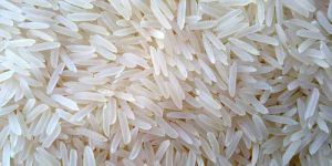1509 White Sella Rice