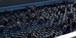 SS Vibrating Screens Mesh