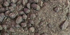 Sunflower De Oiled Cake