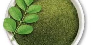 Moringa Leaf Powder