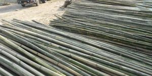 Andhra Bamboo Logs