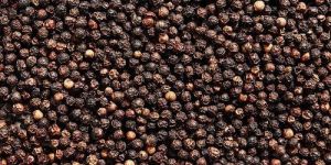 Black Pepper