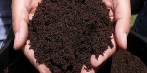 Vermicompost