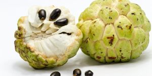 Custard Apple