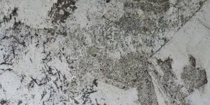 Alpine White Granite