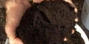 Vermicompost Fertilizer