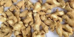 Dry Ginger