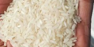 Sharbati Steam Basmati Rice
