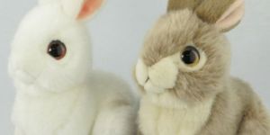 Custom Made Soft Toys