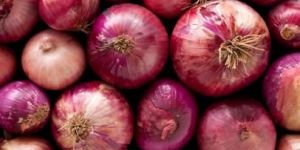 Fresh Red Onion