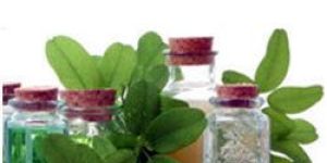 Ayurvedic Oil For Muscles & Joint Pain