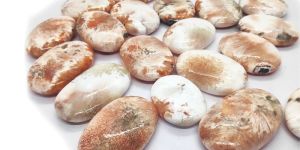 Pink Scolocite Palms