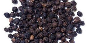 Black Pepper