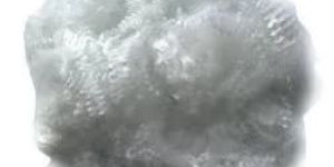 Polyester Staple Fibre