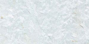 Himachal White Natural Slate Stone