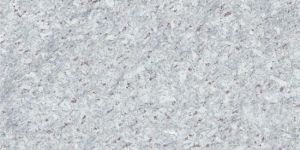 Moon White Granite