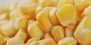 IQF/Frozen Sweet Corn Kernels