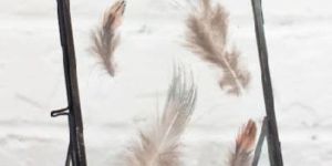 Designer Photo Frame