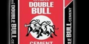 Emami Double Bull Cement