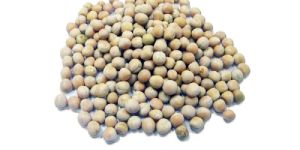 Dry White Peas