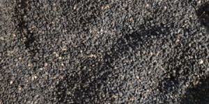 Black Sesame Seeds