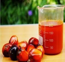 Palm Kernel Oil