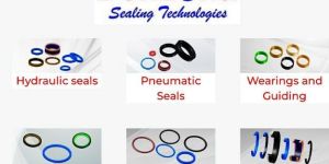 Oil Seals