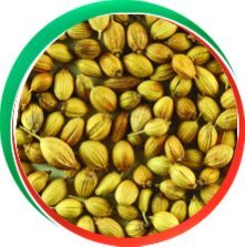 Coriander Seeds