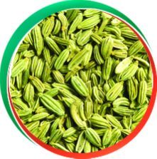 Fennel Seeds