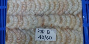 Frozen Pud Shrimps