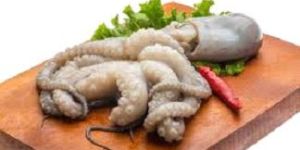 Frozen Whole Octopus