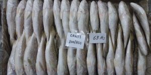 Frozen Silver Croaker Fish