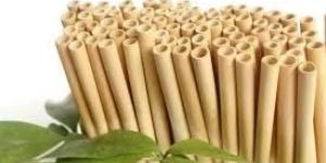 Bamboo Straw