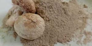 Mushroom Powder