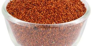 Organic Ragi Seeds