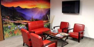 Wall Mural Printing Services