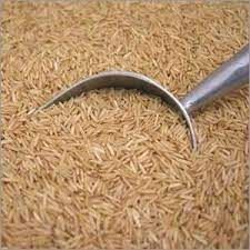 Brown Rice
