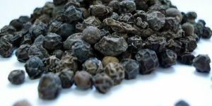 Black Pepper Seeds