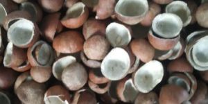 Copra Coconut
