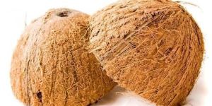Coconut Shell