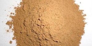 Coconut Shell Powder