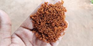 Jaggery