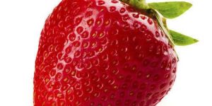 Fresh Strawberry