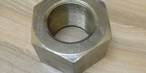 Hex Nut